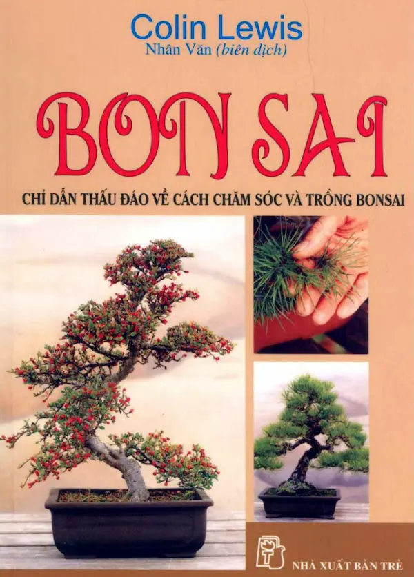 Bonsai – Chỉ Dẫn Thấu Đáo Về Cách Chăm Sóc Và Trồng Bonsai